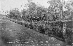 Rabbit-proof fence with William Rodier on the Tambua side, Cobar/Bourke, New South Wales, 1905