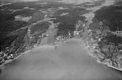 KjÃ¸pmannskjÃ¦r