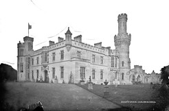 Ducats Grove, Carlow, Co. Carlow