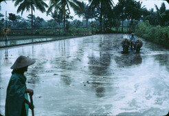 Java, Indonesia