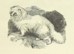 British Library digitised image from page 125 of "Illustrated Poems and Songs for Young People. Edited by Mrs. Sale Barker"