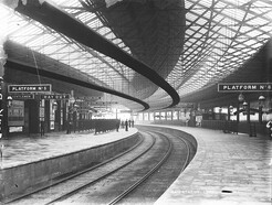 Curves in Cork