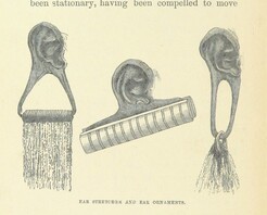 British Library digitised image from page 458 of "Through Masai Land. Third edition"