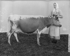 I.K Inha: Finnish Agriculture d2000_48_86