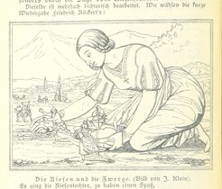 British Library digitised image from page 80 of "Elsass-Lothringen"