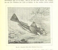 British Library digitised image from page 151 of "Nach Ecuador. Reisebilder ... Zweite, vermehrte Auflage. Mit ... Holzschnitten, etc"