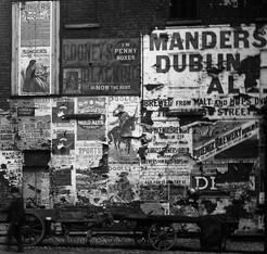 Fancy some C.S.I. NLI?