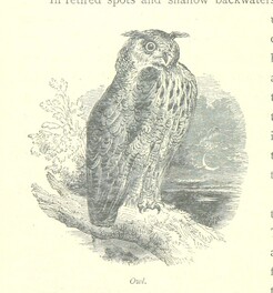 British Library digitised image from page 188 of "The Thames from its Source to the Sea ... Illustrated with ... engravings ... and ... etchings, etc"
