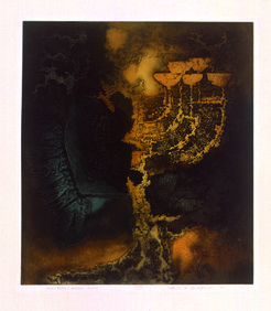 SertÃ£o Bruto Autor: Hans Grudzinski Ano: 1970  TÃ©cnica: Calcografia. Ãgua-tinta e Ãgua-forte  DimensÃµes: 49cm x 43cm