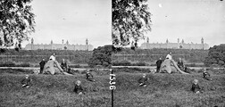 "Man and 5 children posed about felled tree in foreground.; in background extensive institutional building" is County Wexford Asylum