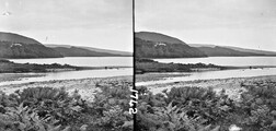 Tidal waters and tree-covered hills.