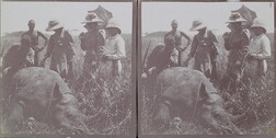 Mary Gallen-Kallela and her children Kirsti and Jorma stand next to a rhino shot by her husband, artist Akseli Gallen-Kallela, in May 1910.