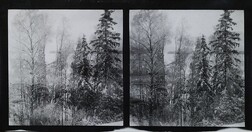 Stereoscopic photograph from Linudd with a southwest view towards Laajalahti. Today Laajalahti is a rapidly developing area in Espoo, Finland. At the time this picture was taken the area was still mostly a rural zone with dense forest