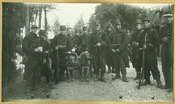 Een mitrailleurssectie van het 7de Linieregiment poseert met de honden | A machine gun section of the 7th Infantry Regiment poses with their dogs