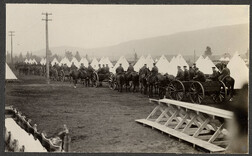 Limbers waiting to go on parade