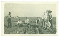 Soldaten rooien aardappelen, s.d. | Soldiers grub for potatoes, date unknown