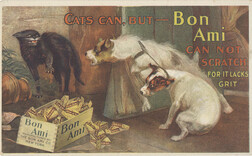 Bon Ami Company (Manufacturers)