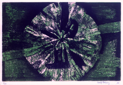 Flor Verde Autor: Edith Behring Ano: 1968 TÃ©cnica: Calcografia. Ãgua-tinta DimensÃµes: 42cm x 60cm