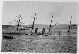 Sinking of the SS AUSTRAL 1882