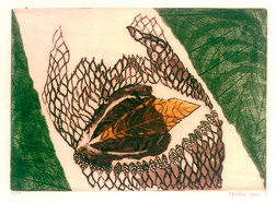 Caju Autor: Marlene Hori Ano: 1972 TÃ©cnica: Ãgua- tinta e Ãgua-forte (2/20) DimensÃ£o: 17cm x 24 cm