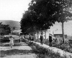 Lincolnville Beach looking north 1881.tif