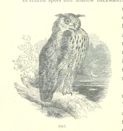 British Library digitised image from page 188 of "The Thames from its Source to the Sea ... Illustrated with ... engravings ... and ... etchings, etc"