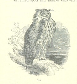 British Library digitised image from page 188 of "The Thames from its Source to the Sea ... Illustrated with ... engravings ... and ... etchings, etc"