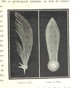 British Library digitised image from page 305 of "L'Espace cÃ©leste et la nature tropicale, description physique de l'univers ... prÃ©face de M. Babinet, dessins de Yan' Dargent"