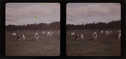 Max Neuscheller d1970_11_37