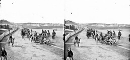 Donkey Derby