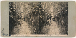 Anchor Tin Mining Company Tram East Coast Tasmania