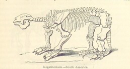 British Library digitised image from page 285 of "Advanced Text-book of Geology ... Second edition, ... enlarged"