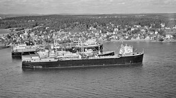 HvalbÃ¥ter i opplag pÃ¥ HusÃ¸yflaket