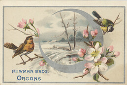 Newman Bros. Organs (Manufacturers)