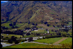 CAL13994.JPG