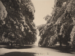 Late snowstorm, date unknown