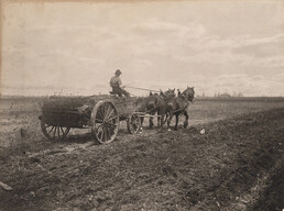 Spreading manure, 1906