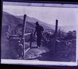 CAL11621.JPG