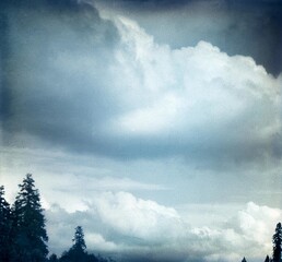 Alberni, B.C. June 9th, 1921 4 P.M.