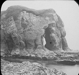 Elephant Rock