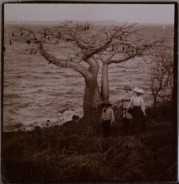 Mary, Kirsti and Jorma Gallen-Kallela under a great breadfruit with the flowing sea behind them.