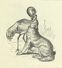 British Library digitised image from page 17 of "Illustrated Poems and Songs for Young People. Edited by Mrs. Sale Barker"