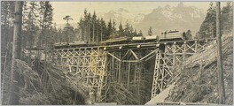 [View of train crossing trestle bridge]