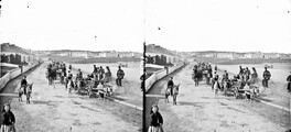 Donkey Derby