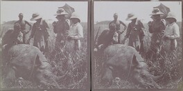 Mary Gallen-Kallela and her children Kirsti and Jorma stand next to a rhino shot by her husband, artist Akseli Gallen-Kallela, in May 1910.
