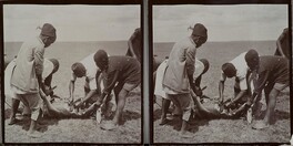 Local men chop up the carcass of a hunted antelope in Uakamba in June 1909.