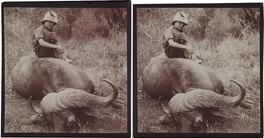 Jorma Gallen-Kallela sitting on a dead African buffalo on a safari in Tana, 1910.