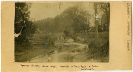 Harriet & May Bull & Seton Cockburn at Spencer Creek. 1890-06