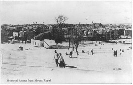 Montreal Annex from Mount Royal, Montreal, QC, about 1910