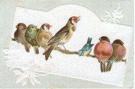 Woolson Spice Co.